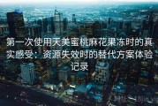 第一次使用天美蜜桃麻花果冻时的真实感受：资源失效时的替代方案体验记录