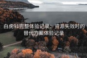 白虎91完整体验记录：资源失效时的替代方案体验记录