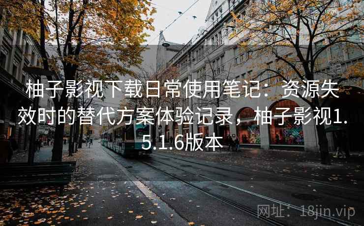 柚子影视下载日常使用笔记:资源失效时的替代方案体验记录,柚子影视1.5.1.6版本 柚子影视下载日常使用笔记:资源失效时的替代方案体验记录,柚子影视1.5.1.6版本