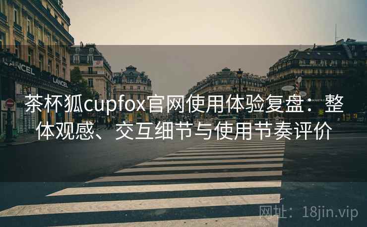 茶杯狐cupfox官网使用体验复盘：整体观感、交互细节与使用节奏评价