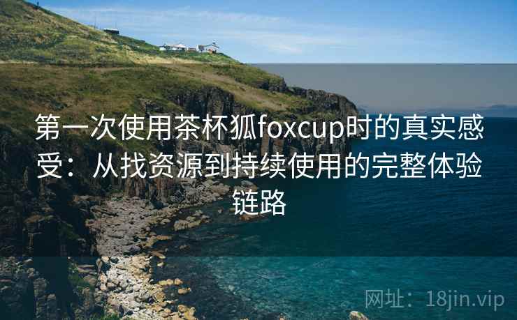 第一次使用茶杯狐foxcup时的真实感受：从找资源到持续使用的完整体验链路