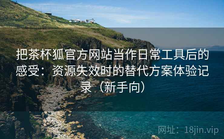 把茶杯狐官方网站当作日常工具后的感受：资源失效时的替代方案体验记录（新手向）