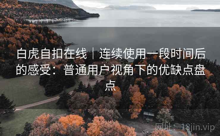 白虎自扣在线｜连续使用一段时间后的感受：普通用户视角下的优缺点盘点