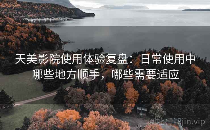 天美影院使用体验复盘：日常使用中哪些地方顺手，哪些需要适应